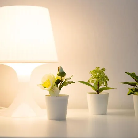 Apartamento Sotavento *